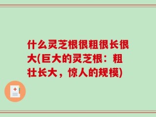 什么灵芝根很粗很长很大(巨大的灵芝根：粗壮长大，惊人的规模)