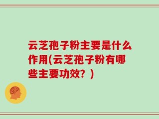 云芝孢子粉主要是什么作用(云芝孢子粉有哪些主要功效？)
