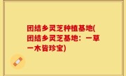 团结乡灵芝种植基地(团结乡灵芝基地：一草一木皆珍宝)