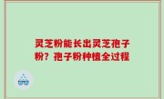 灵芝粉能长出灵芝孢子粉？孢子粉种植全过程