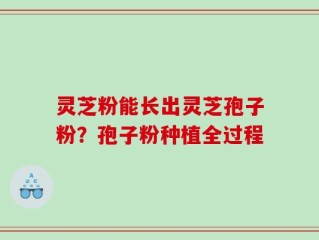 灵芝粉能长出灵芝孢子粉？孢子粉种植全过程