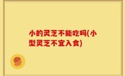 小的灵芝不能吃吗(小型灵芝不宜入食)