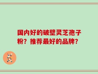 国内好的破壁灵芝孢子粉？推荐最好的品牌？