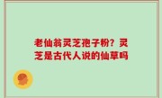 老仙翁灵芝孢子粉？灵芝是古代人说的仙草吗
