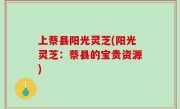 上蔡县阳光灵芝(阳光灵芝：蔡县的宝贵资源)