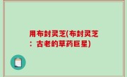 用布封灵芝(布封灵芝：古老的草药巨星)