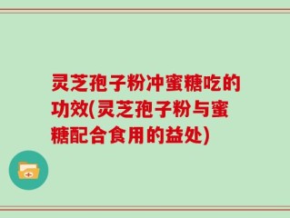 灵芝孢子粉冲蜜糖吃的功效(灵芝孢子粉与蜜糖配合食用的益处)