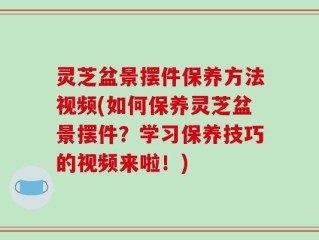 灵芝盆景摆件保养方法视频(如何保养灵芝盆景摆件？学习保养技巧的视频来啦！)