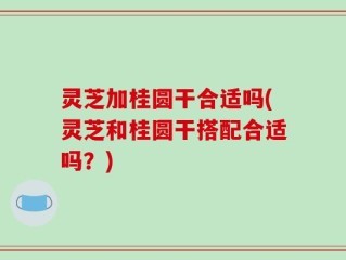灵芝加桂圆干合适吗(灵芝和桂圆干搭配合适吗？)