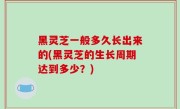 黑灵芝一般多久长出来的(黑灵芝的生长周期达到多少？)