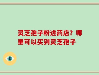 灵芝孢子粉进药店？哪里可以买到灵芝孢子