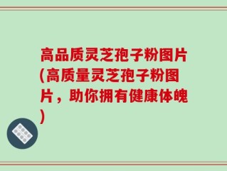 高品质灵芝孢子粉图片(高质量灵芝孢子粉图片，助你拥有健康体魄)
