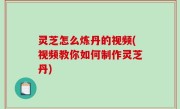 灵芝怎么炼丹的视频(视频教你如何制作灵芝丹)