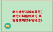 老挝虎牙石斛加灵芝(老挝石斛搭档灵芝 美容养生功效不容错过)
