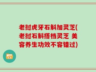 老挝虎牙石斛加灵芝(老挝石斛搭档灵芝 美容养生功效不容错过)