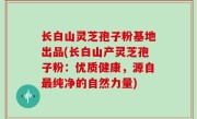 长白山灵芝孢子粉基地出品(长白山产灵芝孢子粉：优质健康，源自最纯净的自然力量)