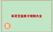 采灵芝偷窝子视频大全