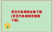 灵芝钓鱼视频全集下载(灵芝钓鱼视频完整版下载)