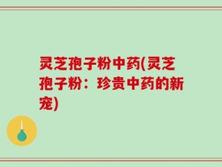 灵芝孢子粉中药(灵芝孢子粉：珍贵中药的新宠)