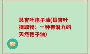艮杏叶孢子油(艮杏叶提取物：一种有潜力的天然孢子油)