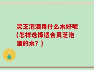 灵芝泡酒用什么水好呢(怎样选择适合灵芝泡酒的水？)