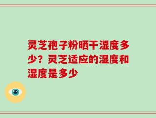 灵芝孢子粉晒干湿度多少？灵芝适应的湿度和湿度是多少