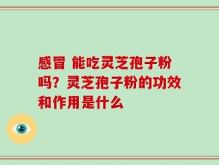 感冒 能吃灵芝孢子粉吗？灵芝孢子粉的功效和作用是什么
