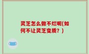 灵芝怎么做不烂呢(如何不让灵芝变质？)