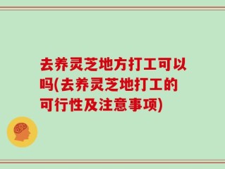 去养灵芝地方打工可以吗(去养灵芝地打工的可行性及注意事项)