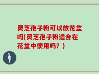 灵芝孢子粉可以放花盆吗(灵芝孢子粉适合在花盆中使用吗？)