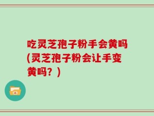 吃灵芝孢子粉手会黄吗(灵芝孢子粉会让手变黄吗？)