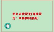 怎么去找灵芝(寻找灵芝：从森林到桌面)