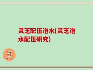 灵芝配伍泡水(灵芝泡水配伍研究)