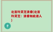北首玲灵芝清香(北首玲灵芝：清香如此迷人)