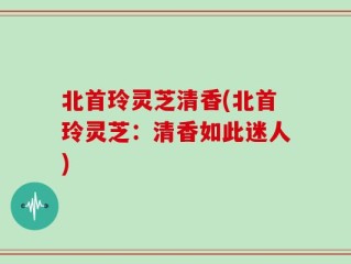 北首玲灵芝清香(北首玲灵芝：清香如此迷人)