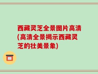 西藏灵芝全景图片高清(高清全景揭示西藏灵芝的壮美景象)