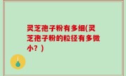 灵芝孢子粉有多细(灵芝孢子粉的粒径有多微小？)