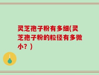 灵芝孢子粉有多细(灵芝孢子粉的粒径有多微小？)