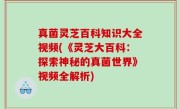 真菌灵芝百科知识大全视频(《灵芝大百科：探索神秘的真菌世界》视频全解析)