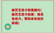 破灵芝孢子胶囊图片(破灵芝孢子胶囊：提高免疫力，帮助身体抵抗疾病)
