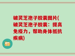 破灵芝孢子胶囊图片(破灵芝孢子胶囊：提高免疫力，帮助身体抵抗疾病)