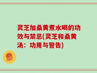 灵芝加桑黄煮水喝的功效与禁忌(灵芝和桑黄汤：功用与警告)