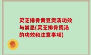灵芝排骨黄豆煲汤功效与禁忌(灵芝排骨煲汤的功效和注意事项)