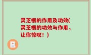 灵芝根的作用及功效(灵芝根的功效与作用，让你惊叹！)