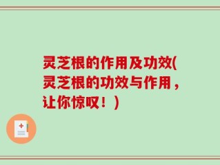 灵芝根的作用及功效(灵芝根的功效与作用，让你惊叹！)
