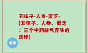 五味子-人参-灵芝-(五味子、人参、灵芝：三个中药益气养生的选择)