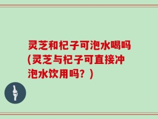 灵芝和杞子可泡水喝吗(灵芝与杞子可直接冲泡水饮用吗？)