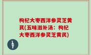 枸杞大枣西洋参灵芝黄芪(五味滋补汤：枸杞大枣西洋参灵芝黄芪)