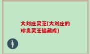 大刘庄灵芝(大刘庄的珍贵灵芝储藏库)