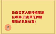 云南灵芝大型种植基地在哪里(云南灵芝种植基地的具体位置)